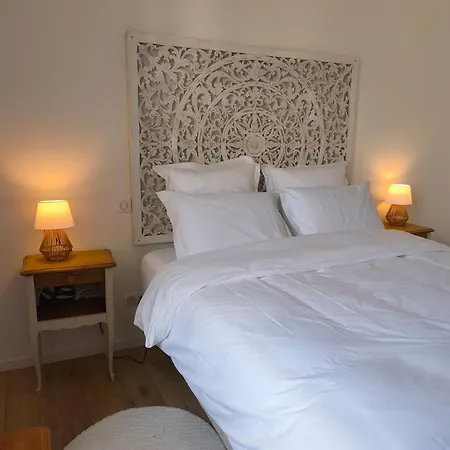 D'hotes Adoya Dans Les Remparts, Piscine, Ascenseur 3* 艾格-莫尔特