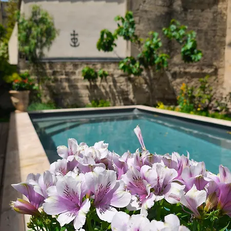 Bed & Breakfast D'hotes Adoya Dans Les Remparts, Piscine, Ascenseur *