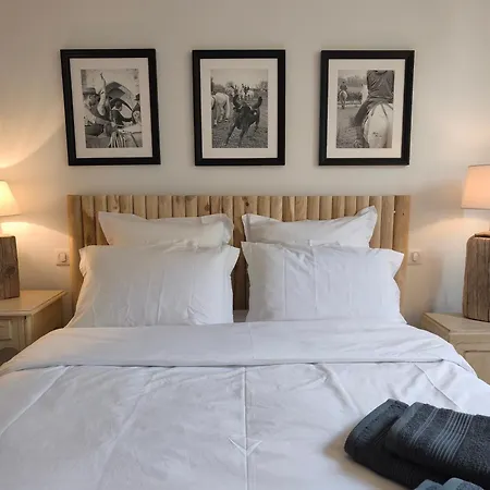 Bed and Breakfast Adoya D'hotes Intra Muros Avec Piscine Et Ascenseur Aigues-Mortes