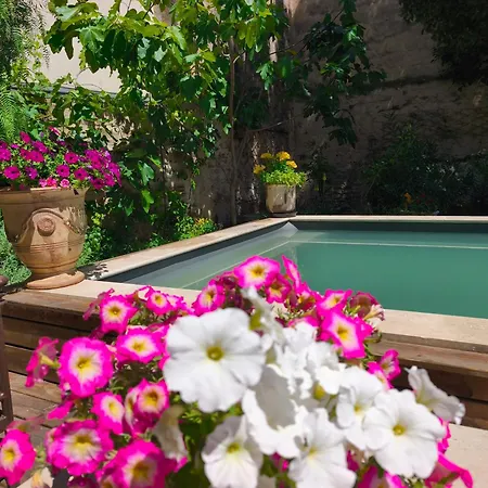 Adoya D'hôtes Intra Muros Au Calme Climatisation Réversible Piscine Wifi Ascenseur Parking Gratuit 3*