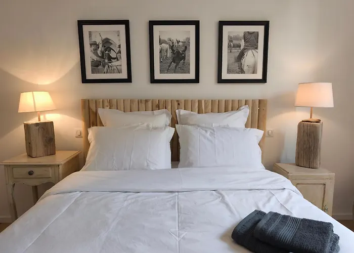 Panzió Chambre D'Hotes Villa Adoya Aigues-Mortes Intra Muros Piscine Calm Outdoor Pool Free Parking Wifi Elevator Aigues-Mortes