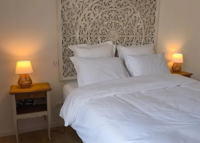 Adoya D'hotes Intra Muros Avec Piscine Et Ascenseur 3* Aigues-Mortes