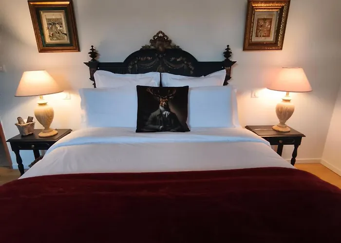 Panzió Chambre D'Hotes Villa Adoya Aigues-Mortes Intra Muros Piscine Calm Outdoor Pool Free Parking Wifi Elevator 3*